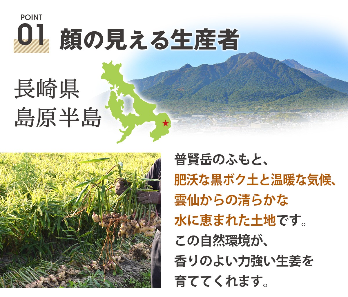 Ĺ�긩�� ̵������ժ�ʤ��礦���� 500g �ź���ժ