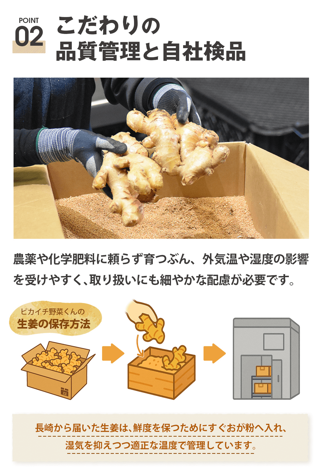 Ĺ�긩�� ̵������ժ�ʤ��礦���� 100g �ź�