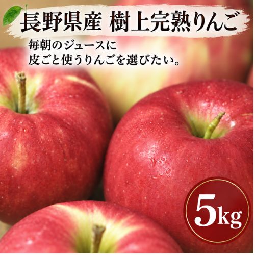 ������ Ĺ��� ���崰�Ϥ�� 5kg ������ ���̺�������ʪ
