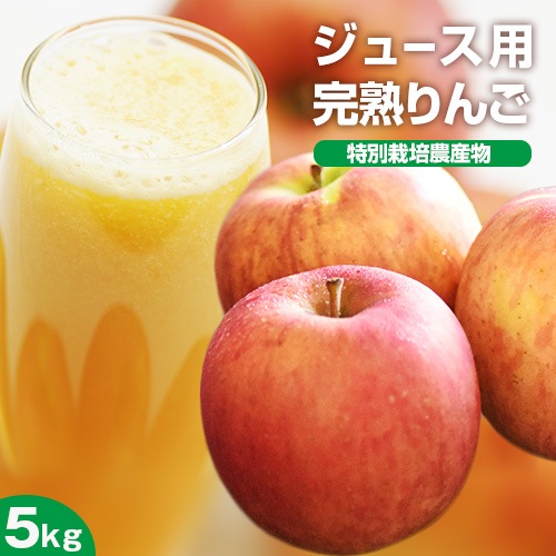 ������ Ĺ��� ���崰�Ϥ�� 5kg ������ ���̺�������ʪ