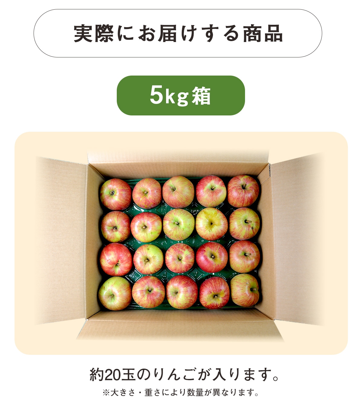 ������ Ĺ��� ���崰�Ϥ�� 5kg ������ ���̺�������ʪ