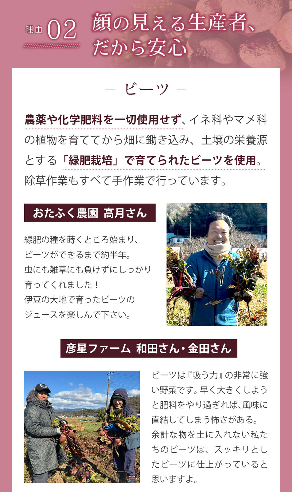 ����������ۥ��åץ�ӡ��� ��Ȣ��100ml��30�ѥå��� �ӡ��ĥ��塼�� �ӡ���