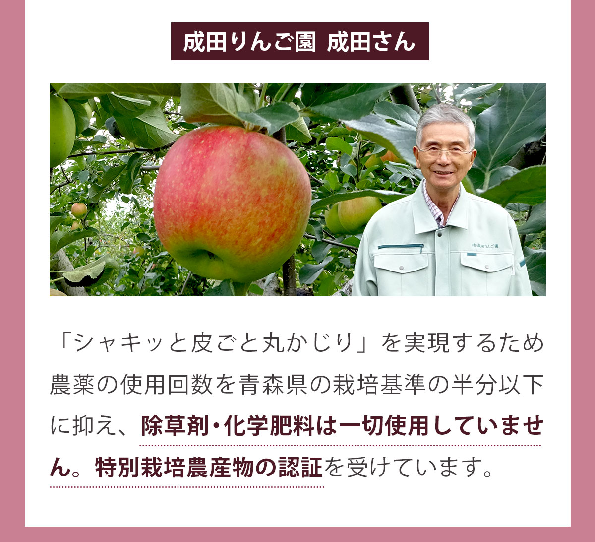 ����������ۥ��åץ�ӡ��� ��Ȣ��100ml��30�ѥå��� �ӡ��ĥ��塼�� �ӡ���