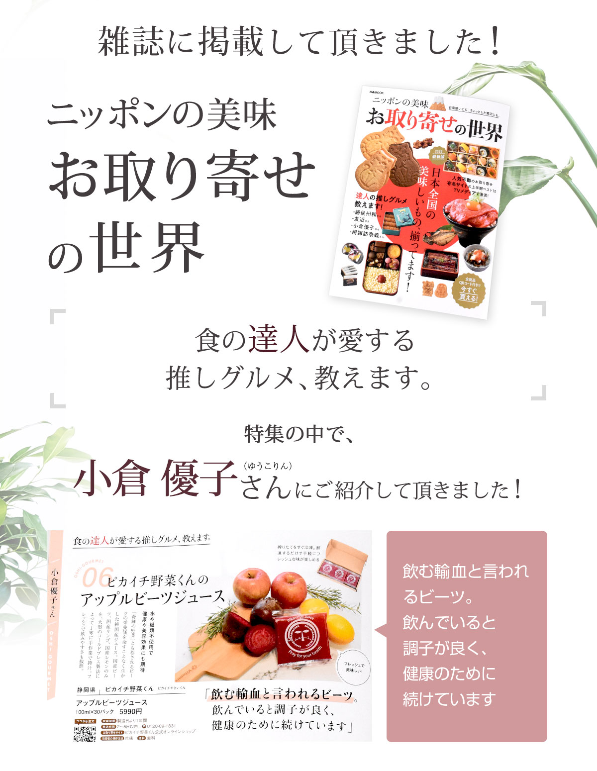 ����������ۥ��åץ�ӡ��� ��Ȣ��100ml��30�ѥå��� �ӡ��ĥ��塼�� �ӡ���