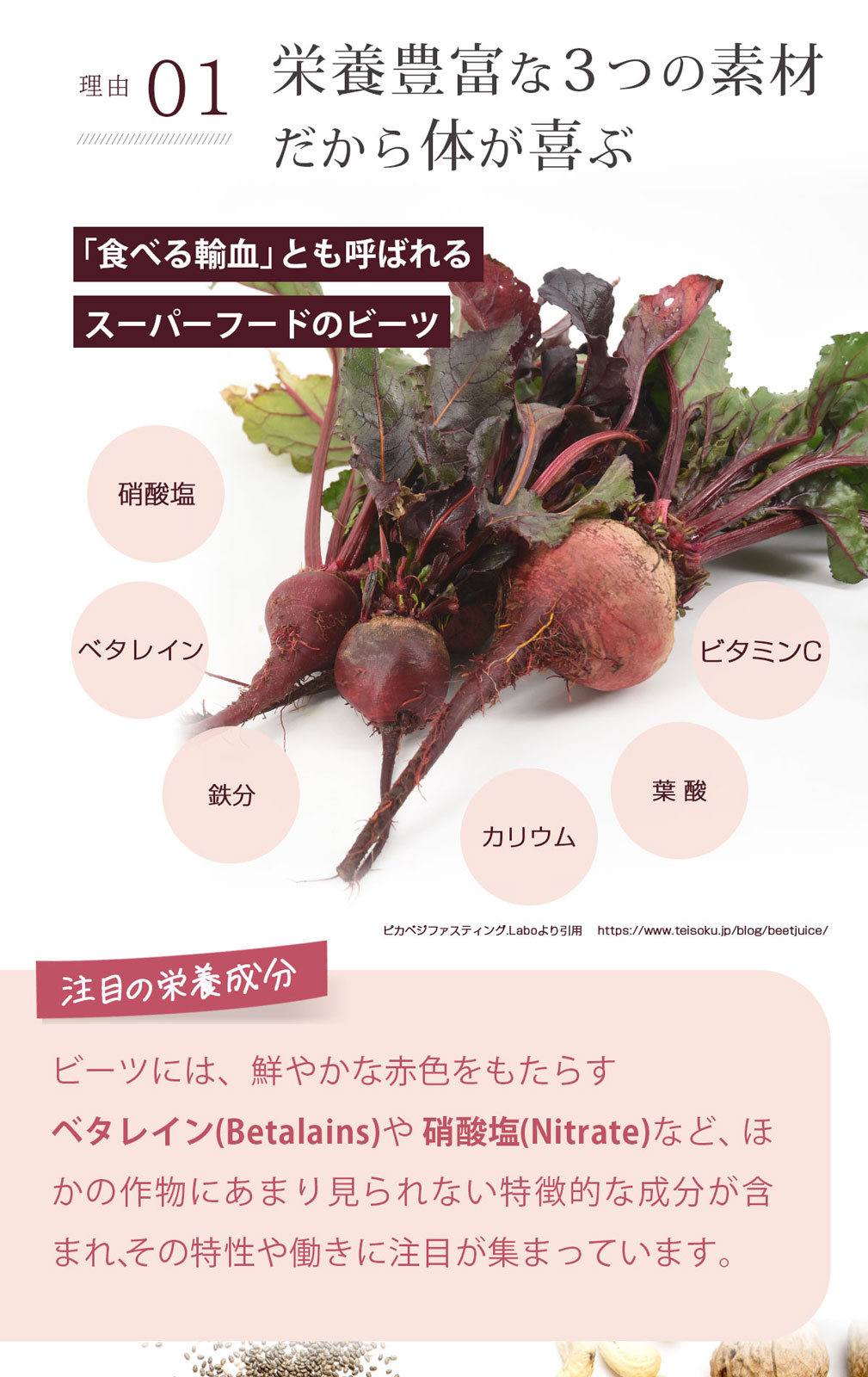 ����������ۥ��åץ�ӡ��� ��Ȣ��100ml��30�ѥå��� �ӡ��ĥ��塼�� �ӡ���