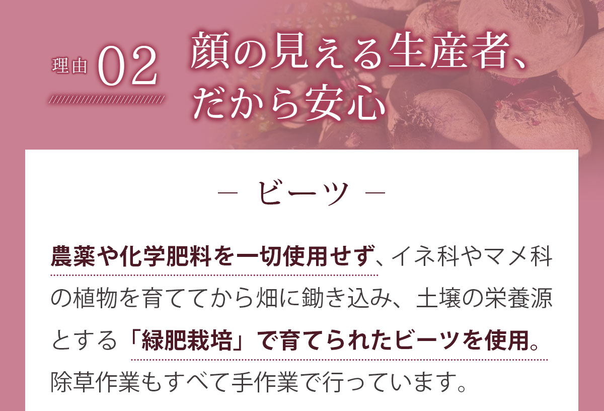 ̵ź ӡĥ塼 åץӡ 1Ȣ (100ml15ѥå)