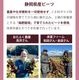 ̵ź�� �ӡ��ĥ��塼�� ���åץ�ӡ��� 1Ȣ (100ml��15�ѥå�)