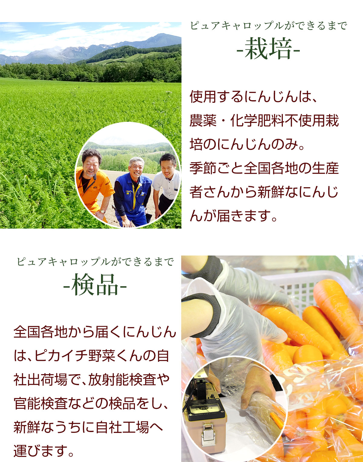  ԥ٥塼 ԥ奢åץ  6