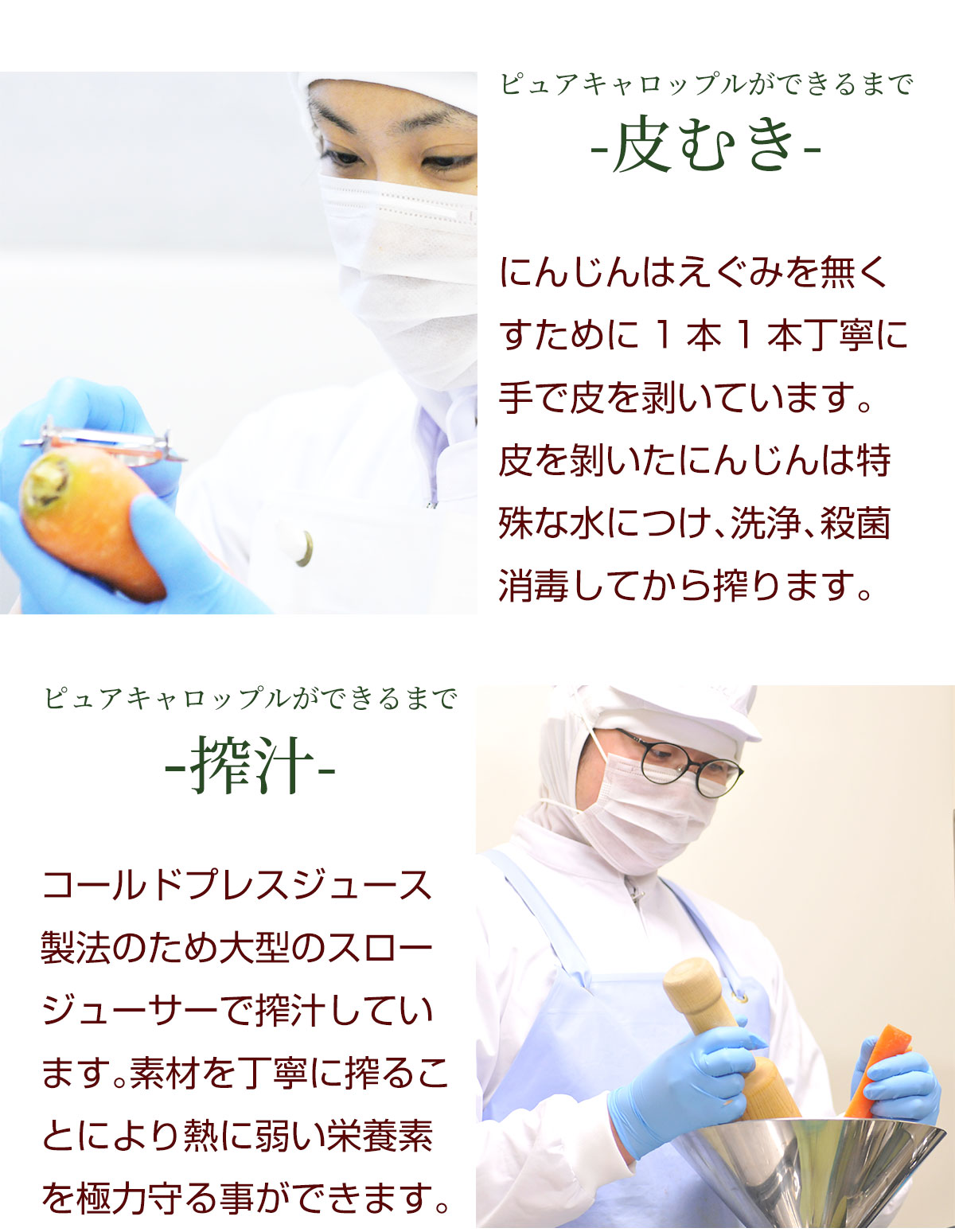  ԥ٥塼 ԥ奢åץ  6