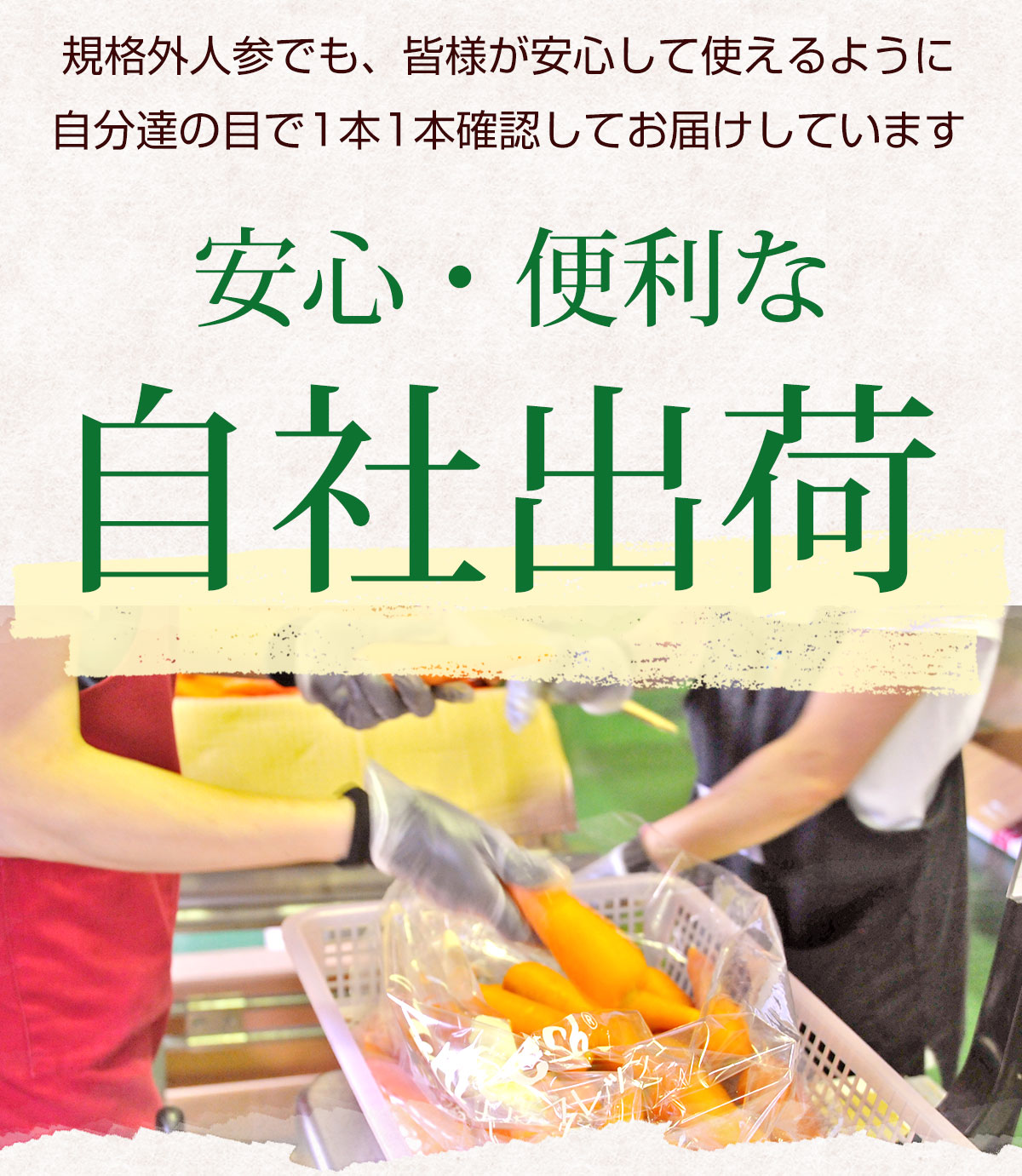 ڥ桼ܥå   ԻѺݤˤ󤸤ñ 5kg ̵ͻ