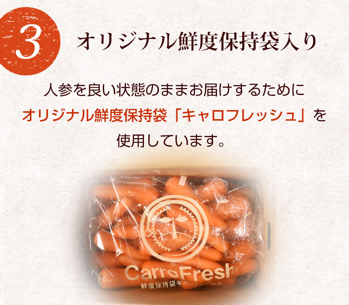 ڥ桼ܥå   ԻѺݤˤ󤸤ñ 5kg ̵ͻ