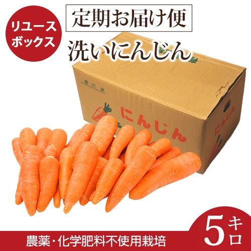 ڥ桼ܥå   ԻѺݤˤ󤸤ñ 5kg ̵ͻ