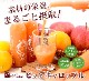 ̵ź ˤ󤸤󥸥塼 ԥ奢åץ 180ml20