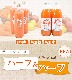 ̵ź ˤ󤸤󥸥塼 ϡաϡ 6ܥå