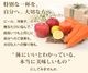̵ź�� �ˤ󤸤󥸥塼�� ���� ������� 2���ॻ�å�(����/���ܡ�