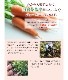 �դä��դ��ޤ뤴�Ȥˤ󤸤󥸥塼�� �ڣ�Ȣ�ۡ���100c��120p�ۡ�����̵���ۡ����ॸ�塼���ۡ�̵�����ͻ��ۡڥۡ���ա����ۡڥ����ѡ��ա��ɡۡڥ����