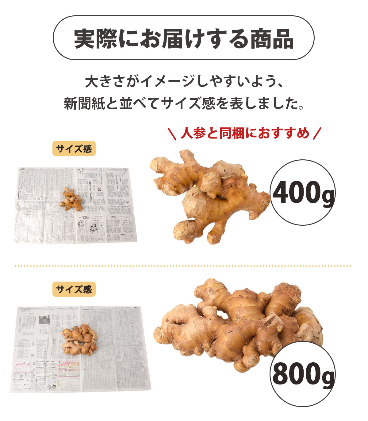 ���θ��� ������ժ ( �ź� ) 400g / 800g ���ӿ建�� �ʼ���Ͽ �������¢ 