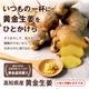 ���θ��� ������ժ ( �ź� ) 400g / 800g ���ӿ建�� �ʼ���Ͽ �������¢ 