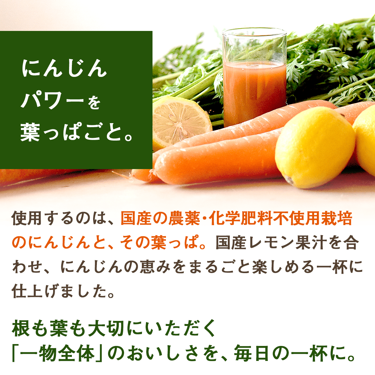 ̵ź�� �ͻ����塼�� �դä��դ��ˤ󤸤󥸥塼�� 1Ȣ (100ml��30�ѥå�)