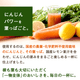 ̵ź�� �ͻ����塼�� �դä��դ��ˤ󤸤󥸥塼�� 1Ȣ (100ml��30�ѥå�)