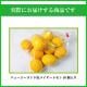 �˥塼�������ɻ� �Υ󥱥ߥ��� �ᥤ�䡼���� 10�� ������Ի���