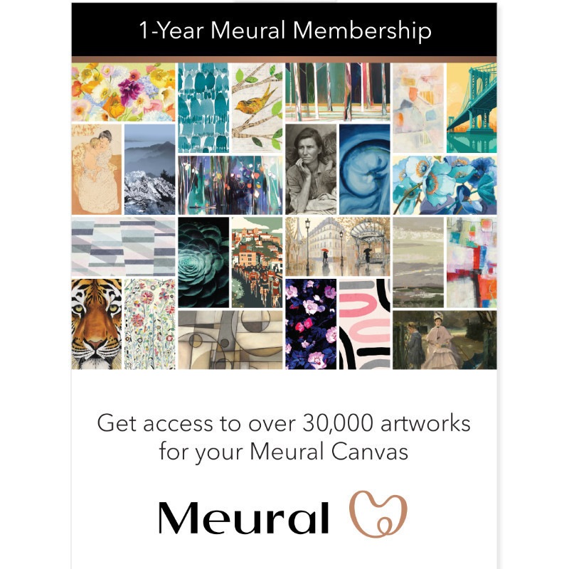 NETGEAR (�ͥåȥ���) �����Х������¤˳��Ѥ���