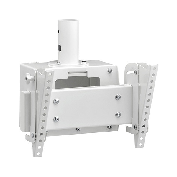 [CH-43W] HAMILeX(ϥߥå) ƥӼն -43 ۥ磻 CH꡼