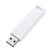 [UFD-SL4GWN] USB2.0 ����