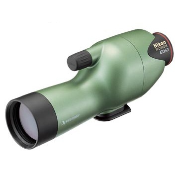 [FSED50OG] եɥED50 ꡼֥꡼