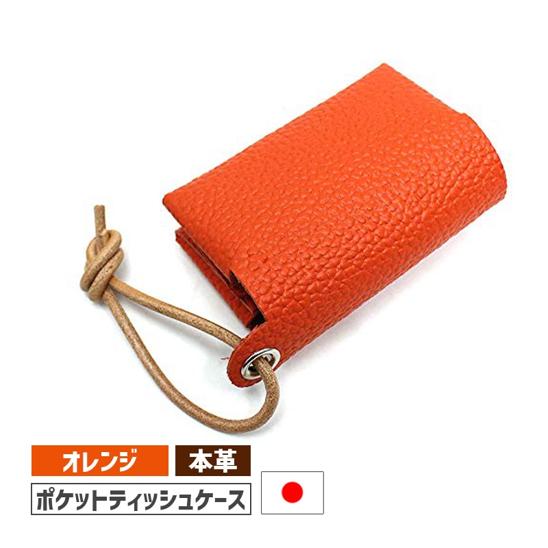 [ODMDG16-OR-SV] �ݥ��åȥƥ��å��奱���� DG-16 �ܳ� ������ �����/��񥷥�С���