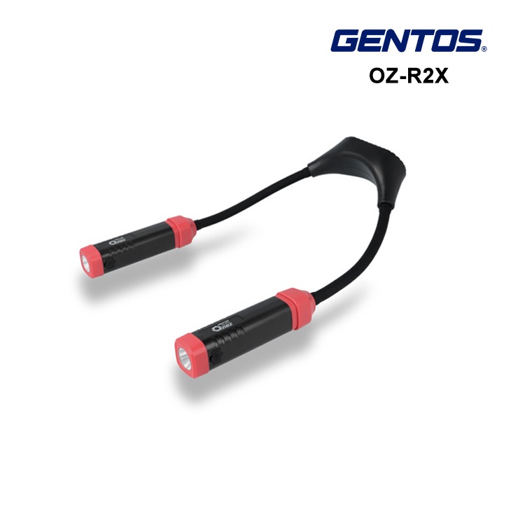 [OZ-R2X] Onez���꡼�� �ե�å���饤�� 200lm ���ż�LED�饤�� ��ݤ�