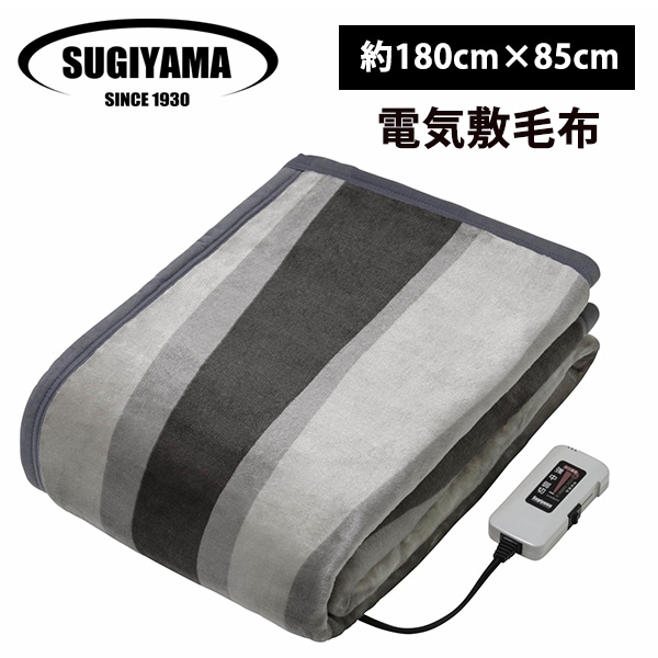 [SSW20SL09-AS] ò ץߥܥŵۥ(ȥȥ饤)