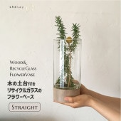 [372344] դ ڤȥ塼饹Ȥ߹碌ե١ ȥ졼 ꥵ륬饹 饹 ϥɥᥤ ŷ  ץ  ʥ