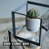 [4589824362908] ODD CUBIC BOX(M) �ǥ����ץ쥤�ܥå��� �������� ���塼�� ȭ���� �����ǥ˥�