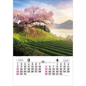 [TD-502-2026] トーハン・DX 日本の情景 フイルム  2026年|その他(文具)|文具・オフィス機器
