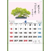 [TD-665-2026] 盆栽逸品集 2026年|その他(文具)|文具・オフィス機器
