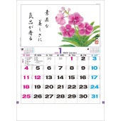 [TD-851-2026] 花ごよみ 2026年|その他(文具)|文具・オフィス機器