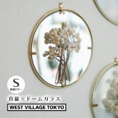 [4589824364964] PIKE Glass Dome Frame MIRROR S �饦��ɥե졼�� �ߥ顼������ ������ ��� ����ƥꥢ��