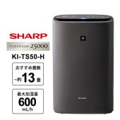 [KI-TS50-H] �ü����������� �ץ饺�ޥ��饹����25000��� ����������ǥ� ���졼�ϡ�