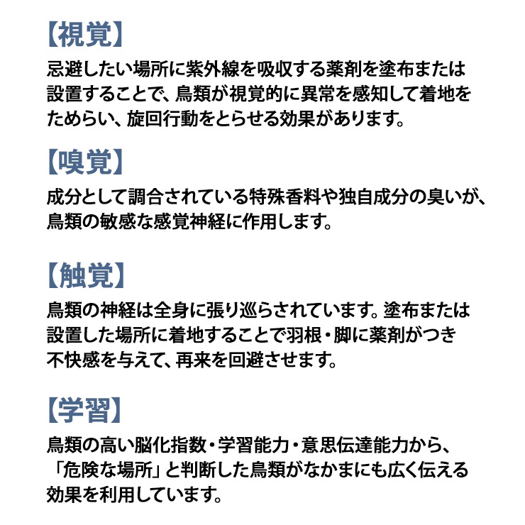 [NSKK-037] Ļ()ƥ  120ml