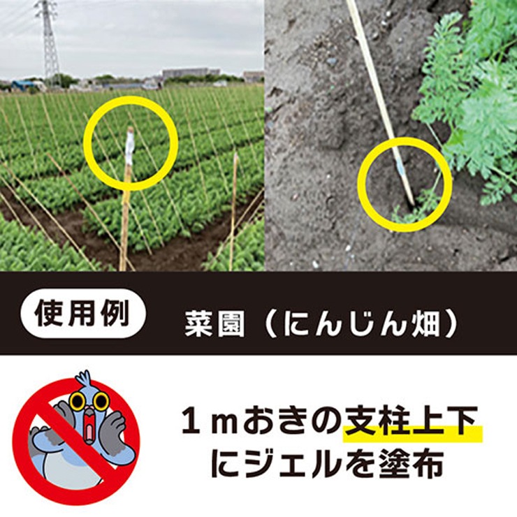 [NSKK-037] Ļ()ƥ  120ml