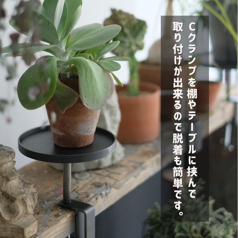 [4589824382005] KINO clamping tower ���� �����ԥ� ��� S���������å� SHORT/LONG ������ ����ƥꥢ �ץ�󥿡�������� ��������