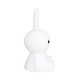 [MM-009M] �ߥåե��� Bundle of Light �Х�ɥ륪�֥饤�� Miffy ������ ���ꥳ����LED�饤�� ���ܾ��� �ܥ������ӡ�