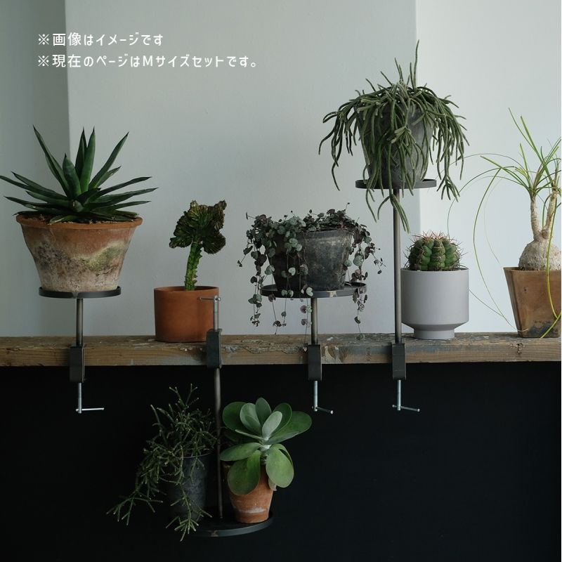 [4589824382012] KINO clamping tower ���� �����ԥ� ��� M���������å� SHORT/LONG ������ ����ƥꥢ �ץ�󥿡�������� ��������