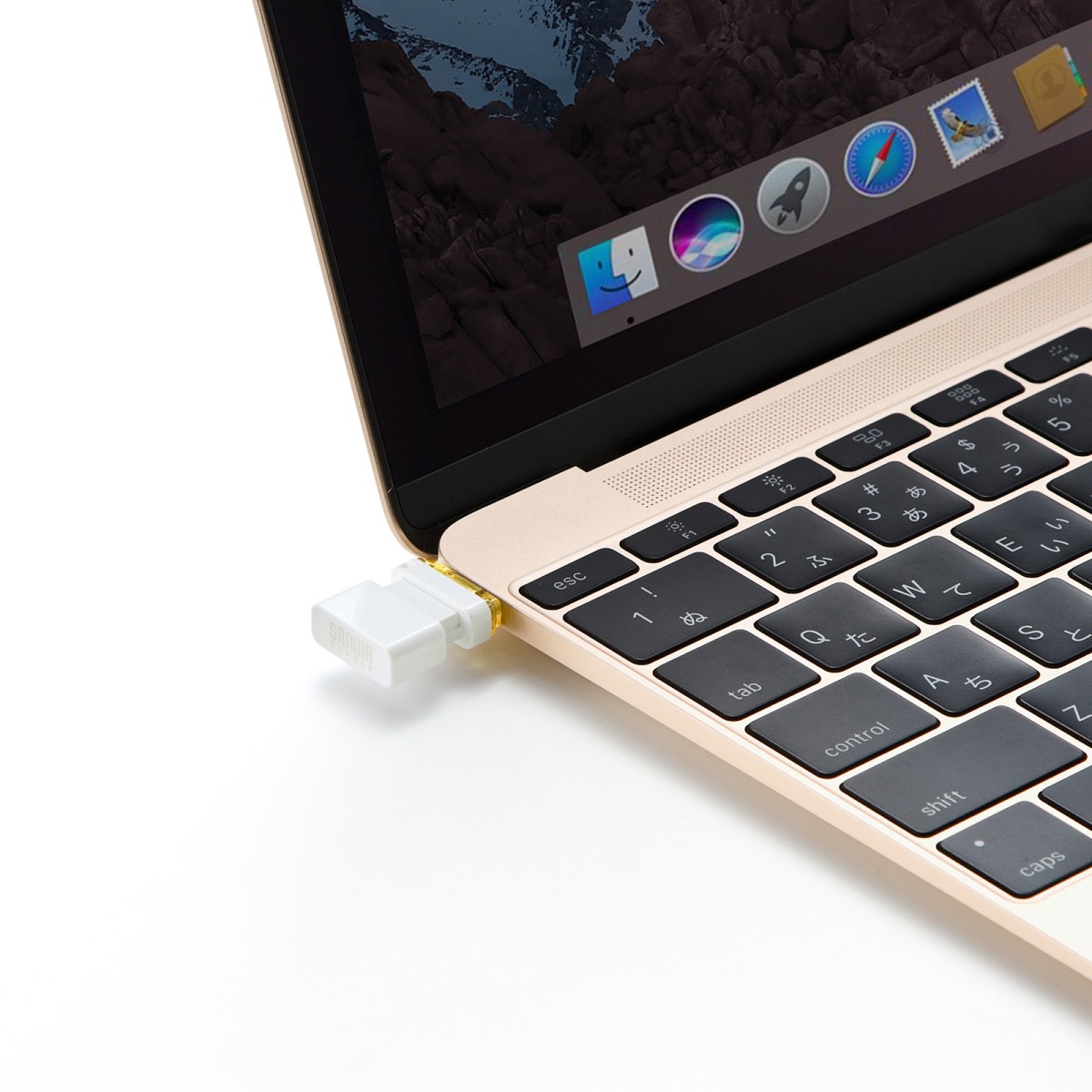 [UFD-3TC16GWN] USB Type-C ����(16GB