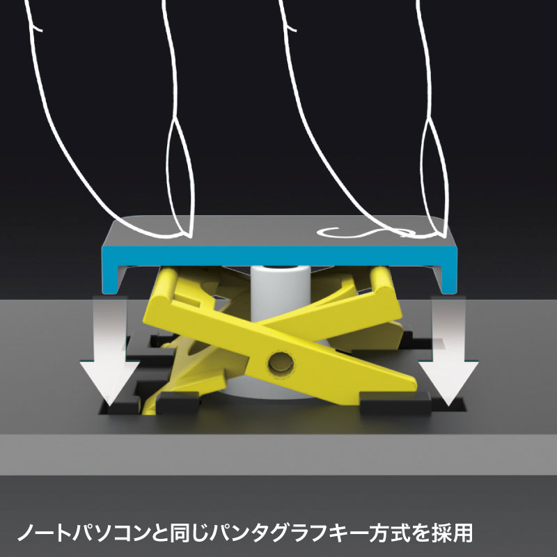 [SKB-WL33BK] 磻쥹७ܡ(֥å)