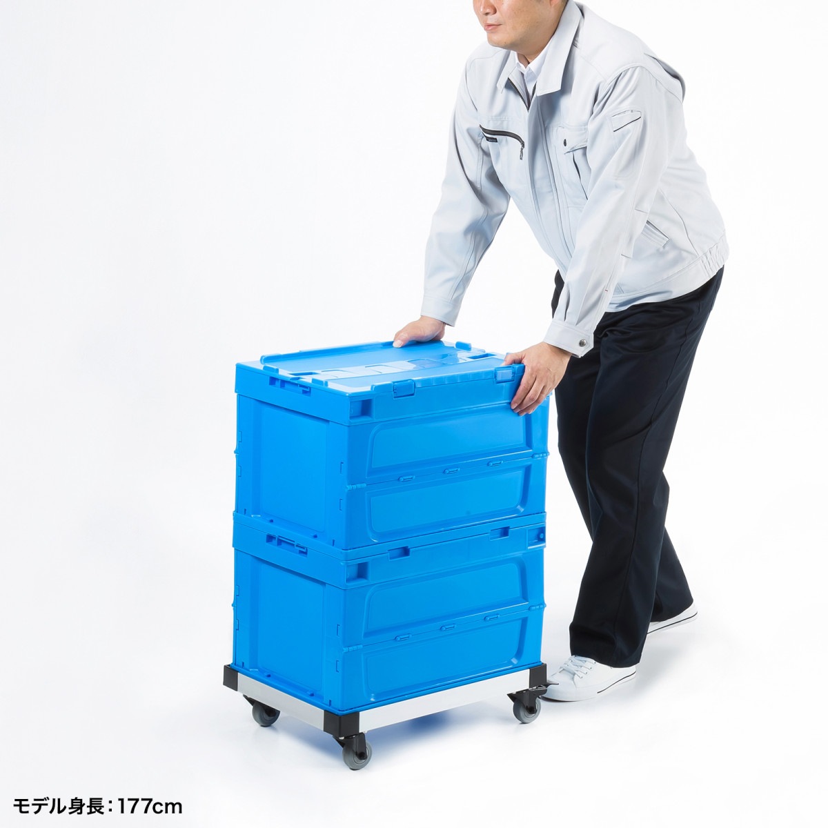 [CART-FA950SV] ߥɡ꡼(ƥ) 50åȥ