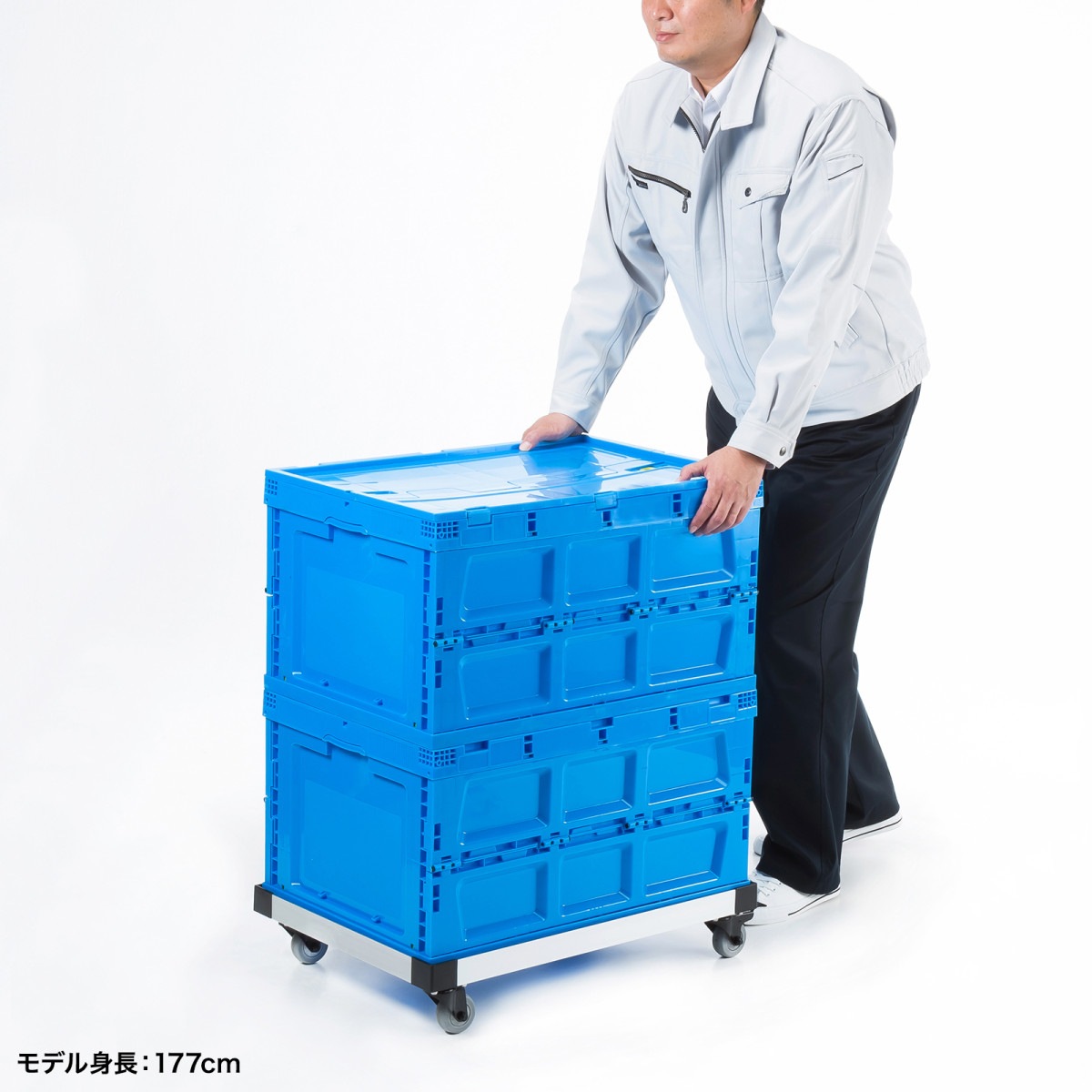 [CART-FA975SV] ����ߥɡ��꡼(����ƥ������) 75��åȥ����
