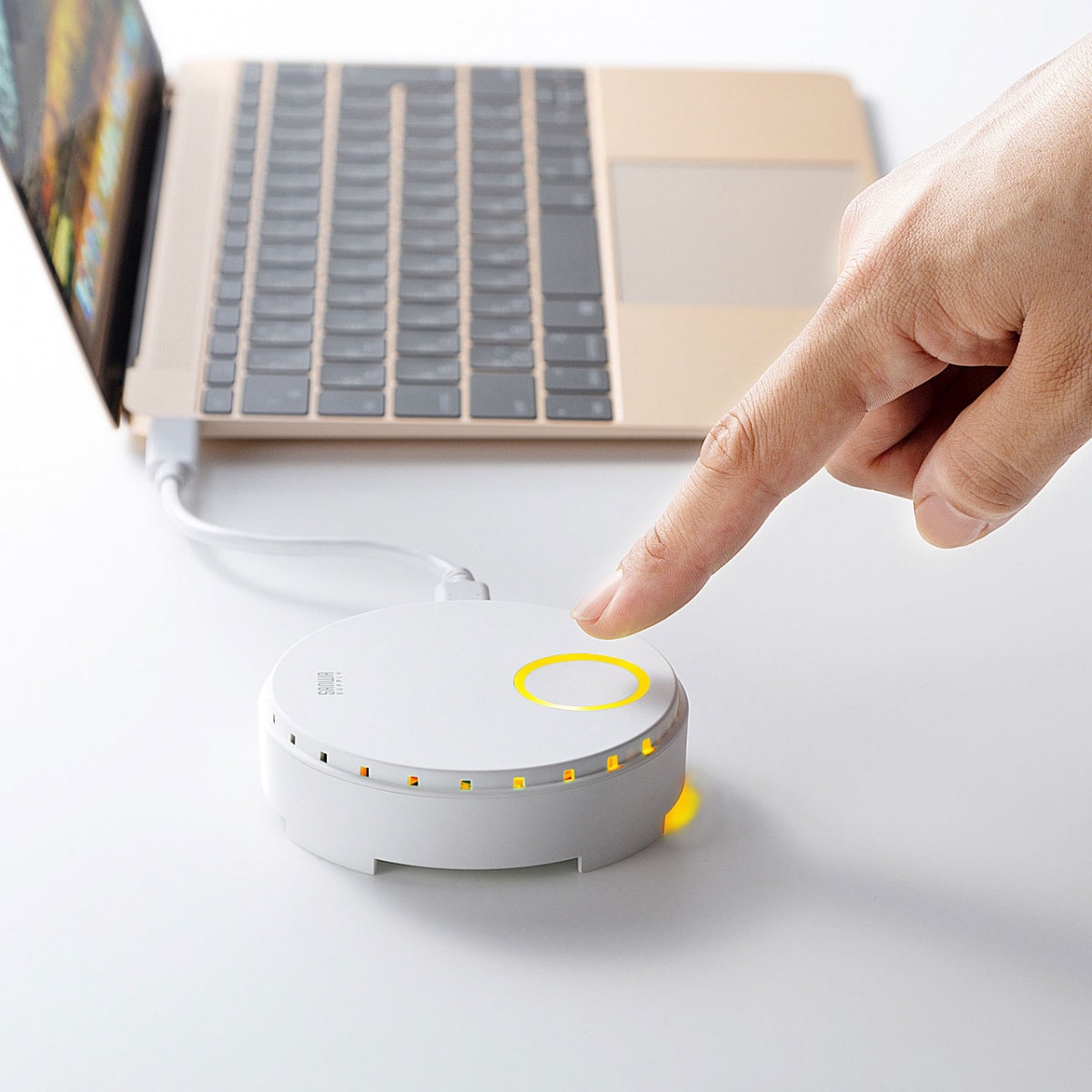 [VGA-EXWHD6C] �磻��쥹HDMI�������ƥ����(USB3.1 Type-C��³��)