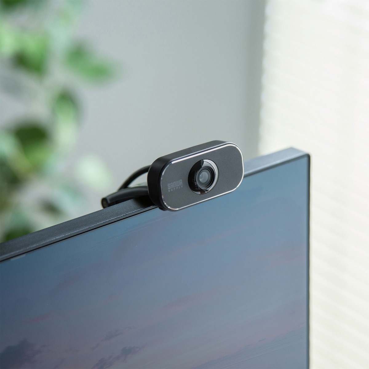 [CMS-V41CBK] Type-C WEB